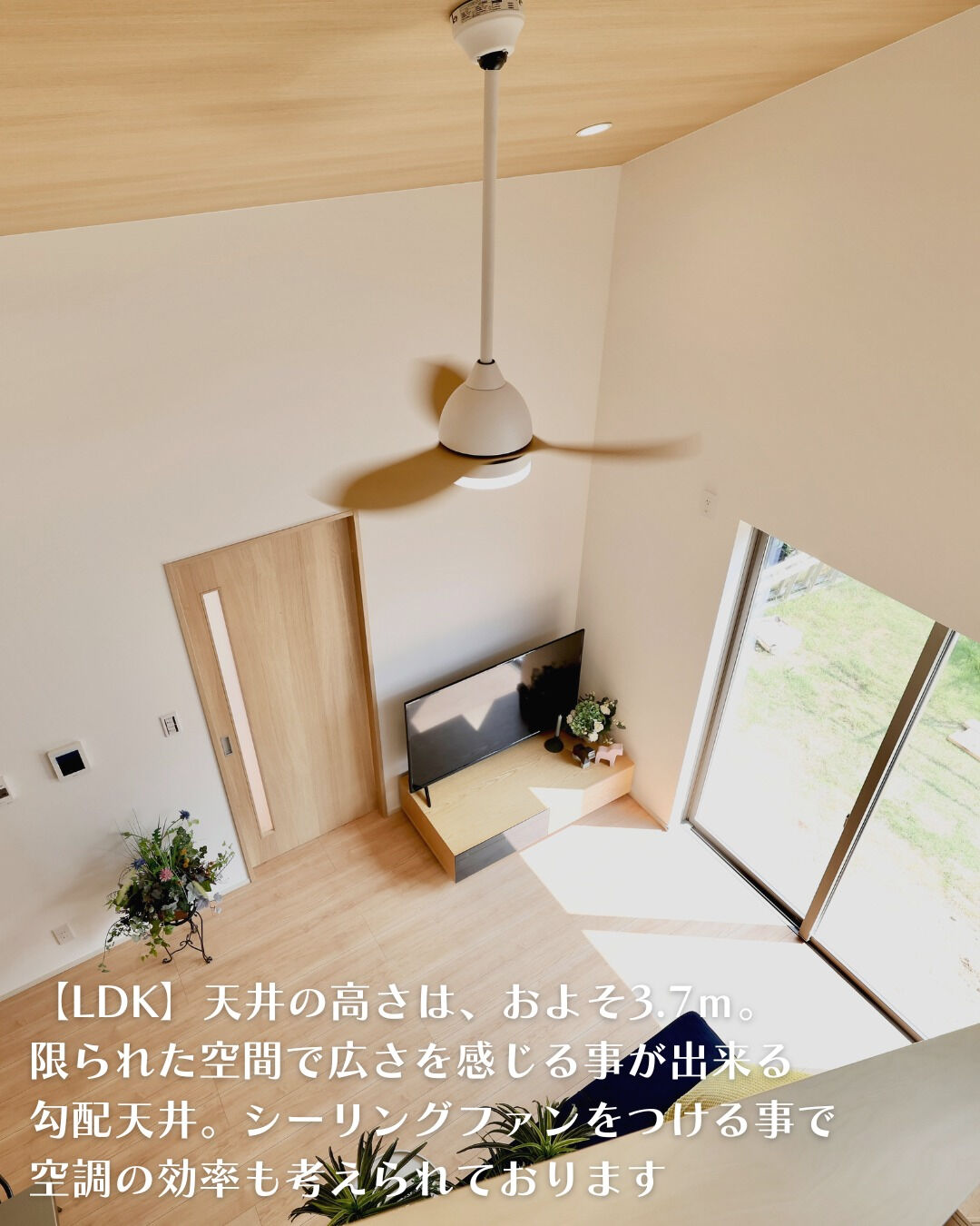＼春日井市　平屋　16坪／