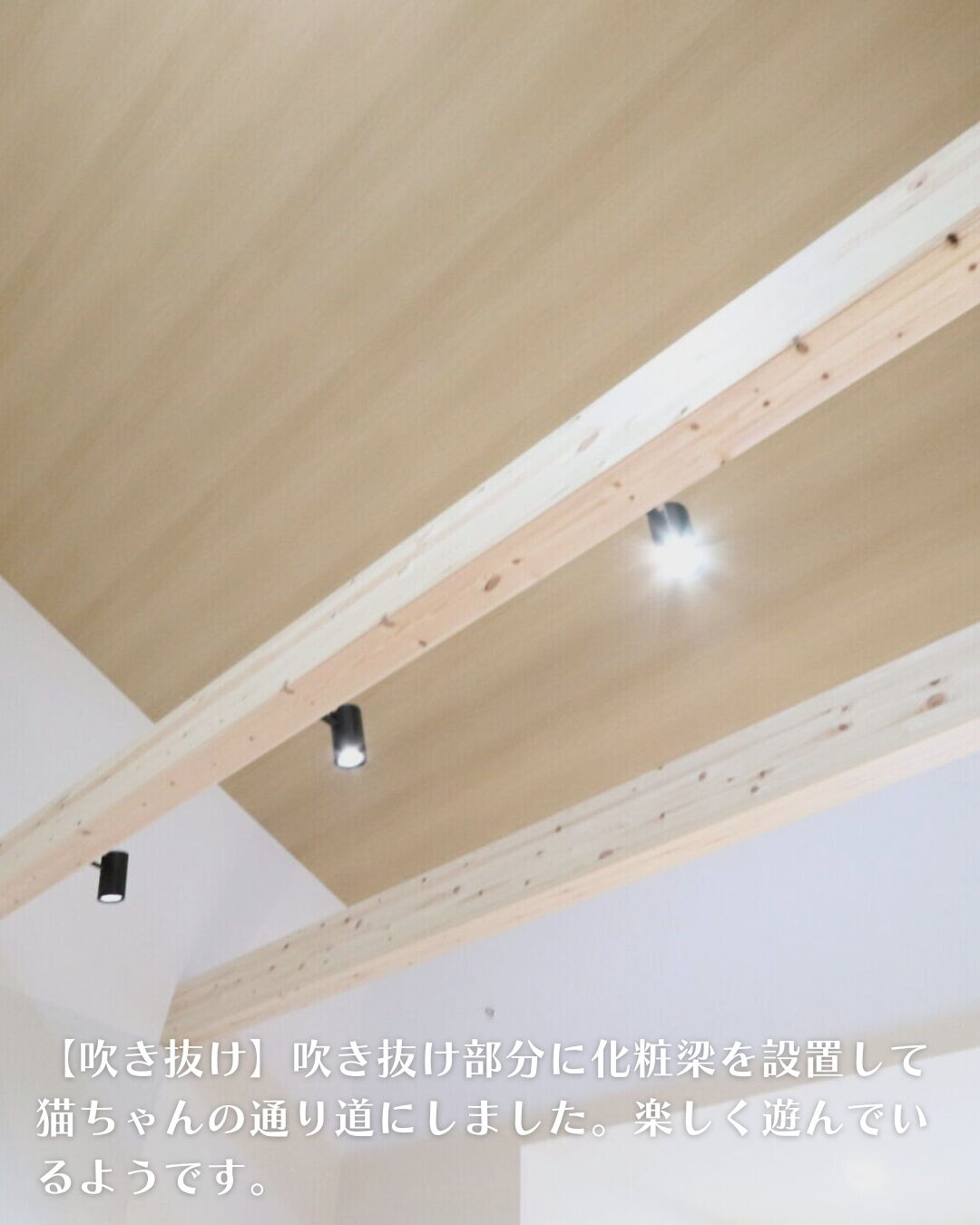 ＼一宮市　平屋　24坪／